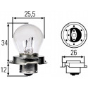 Ampoule, projecteur principal